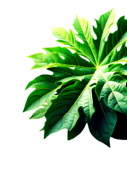 right_leaf